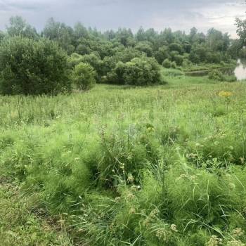 Продается Участок, 4000 м²