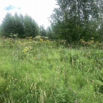 Продается Участок, 4000 м²