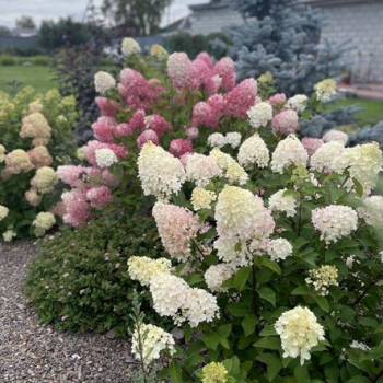 Продается Дом, 137 м²