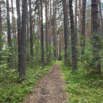 Продается 1-комнатная квартира, 45 м²