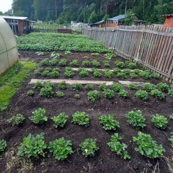 Продается Участок, 400 м²