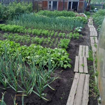 Продается Участок, 400 м²