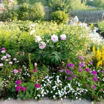 Продается Участок, 800 м²