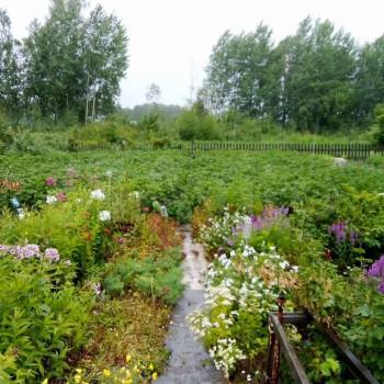 Продается Участок, 800 м²