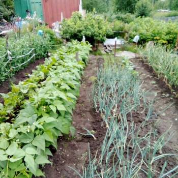 Продается Участок, 800 м²