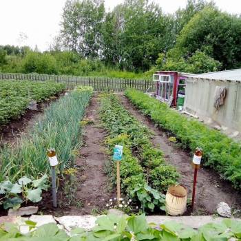 Продается Участок, 800 м²