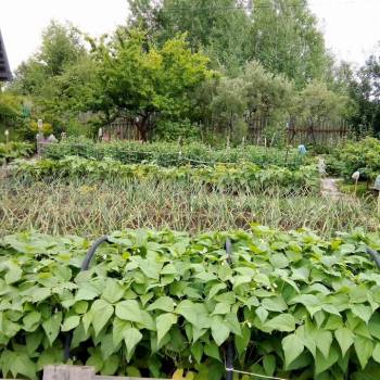 Продается Участок, 800 м²