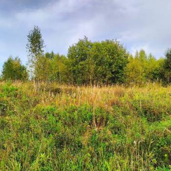 Продается Участок, 800 м²