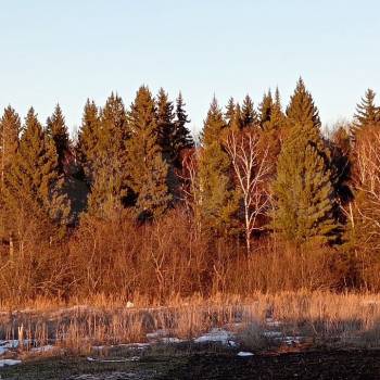 Продается Участок, 2300 м²