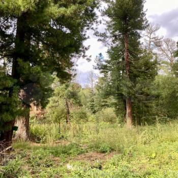 Продается Участок, 830 м²