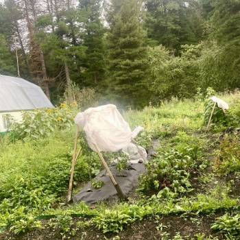 Продается Участок, 830 м²