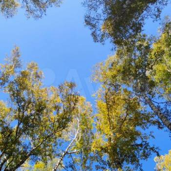 Продается Участок, 1200 м²