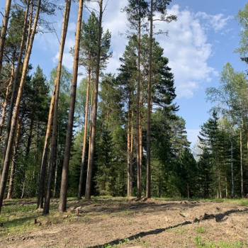 Продается Участок, 1500 м²