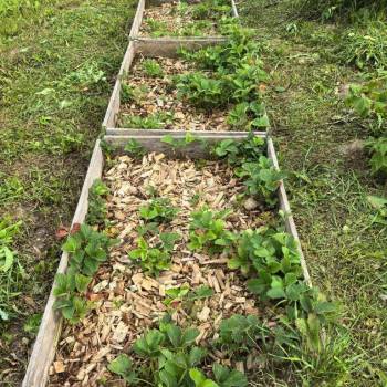 Продается Дом, 51 м²