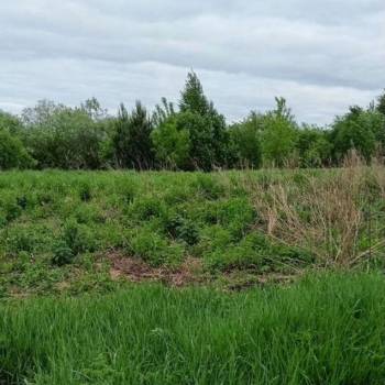 Продается Участок, 1300 м²