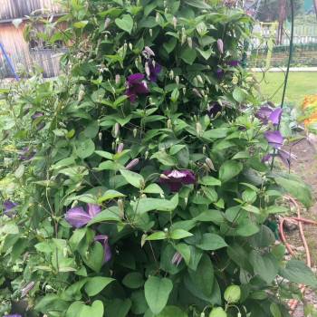 Продается Дом, 92 м²