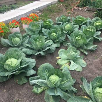 Продается Дом, 92 м²