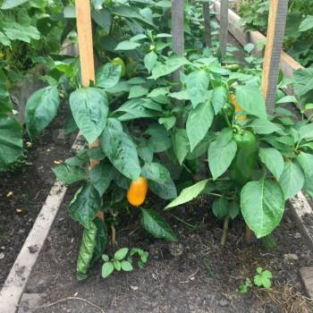 Продается Дом, 92 м²