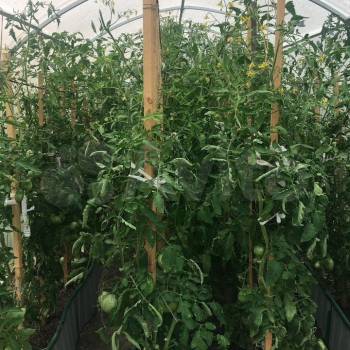 Продается Дом, 92 м²