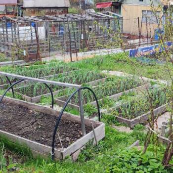 Продается Участок, 420 м²