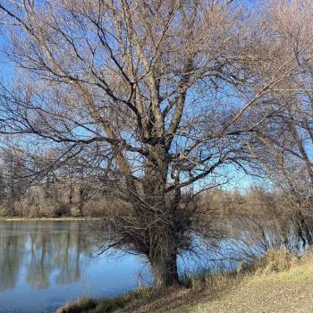 Продается Дом, 60 м²