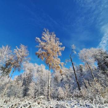 Продается 3-х комнатная квартира, 70 м²