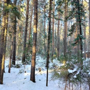 Продается Участок, 1500 м²