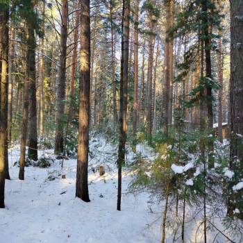 Продается Участок, 1500 м²