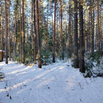 Продается Участок, 1500 м²