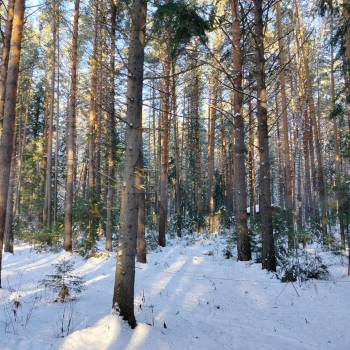 Продается Участок, 1500 м²