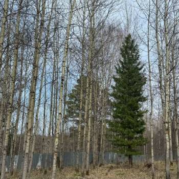 Продается Участок, 1050 м²