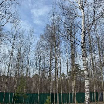 Продается Участок, 1050 м²