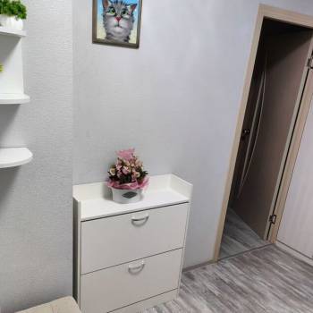 Сдается 1-комнатная квартира, 46 м²