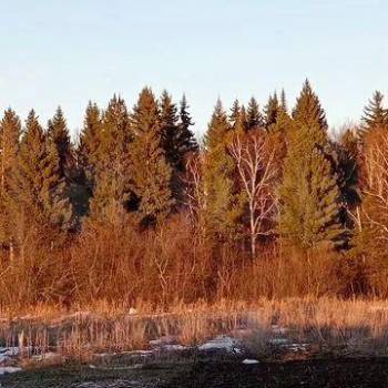 Продается Участок, 2300 м²