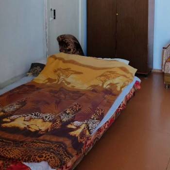 Продается 2-х комнатная квартира, 49,8 м²