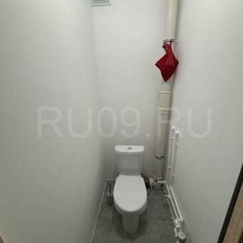 Сдается 2-х комнатная квартира, 53 м²