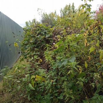 Продается Участок, 400 м²