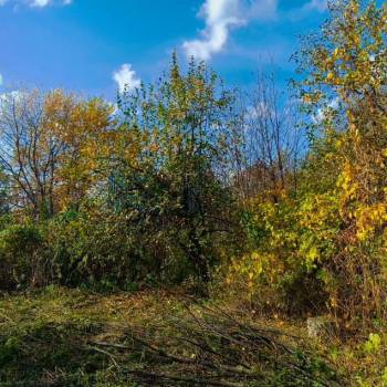 Продается Участок, 400 м²