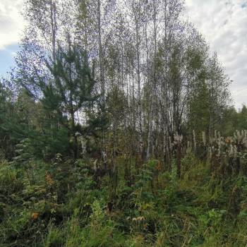 Продается Участок, 600 м²