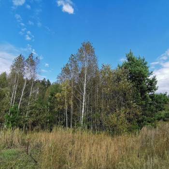 Продается Участок, 600 м²