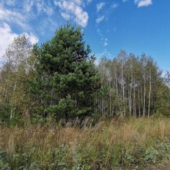 Продается Участок, 600 м²