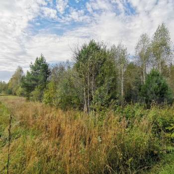 Продается Участок, 600 м²