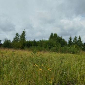 Продается Участок, 1000 м²