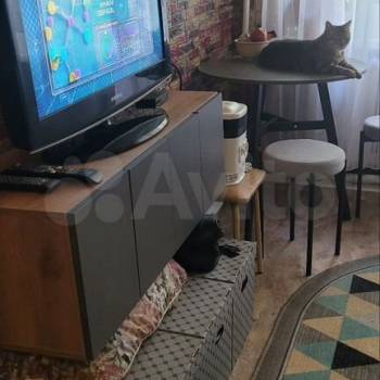 Продается 1-комнатная квартира, 17,6 м²
