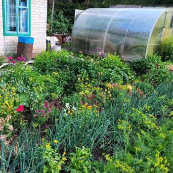 Продается Дом, 46 м²