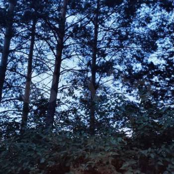 Продается Дом, 46 м²