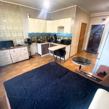 Продается 1-комнатная квартира, 23,7 м²