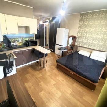 Продается 1-комнатная квартира, 23,7 м²