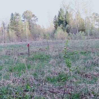 Продается Участок, 500 м²