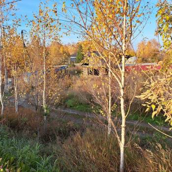 Продается Участок, 800 м²